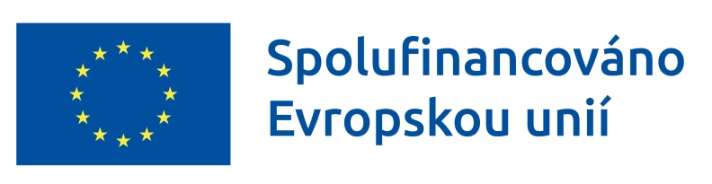Podpora ohrožených dětí a rodin na Vysočině
