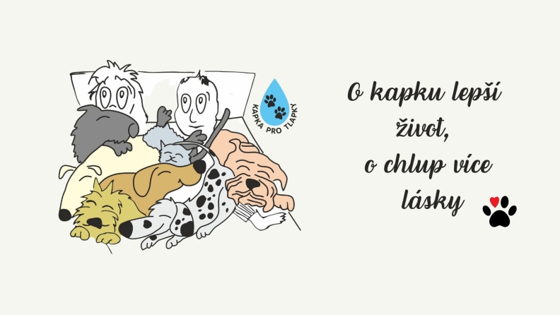 II. Charitativní sekáč pro Kapku pro tlapky z.s.
